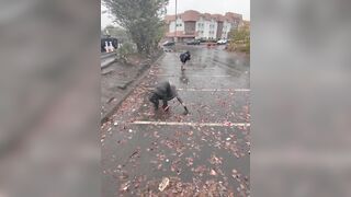 Things to Do This Fall in Portland