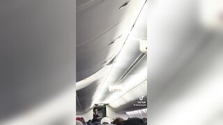 Delta Flight Attendant Exposes Government Shutdown Over the Intercom Mid-Flight.
