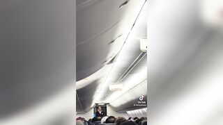 Delta Flight Attendant Exposes Government Shutdown Over the Intercom Mid-Flight.