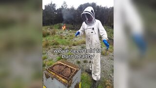 Why the Bees? Meanwhile in New Zealand “We’ve been told to burn healthy strong beehives” “Look at how healthy these bees are no disease or anything”