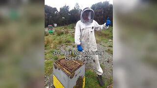 Why the Bees? Meanwhile in New Zealand “We’ve been told to burn healthy strong beehives” “Look at how healthy these bees are no disease or anything”