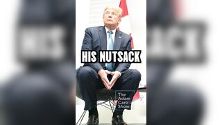 This is hilarious because it's true