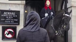 No Horse ever deserves this.