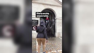 No Horse ever deserves this.