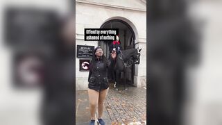 No Horse ever deserves this.