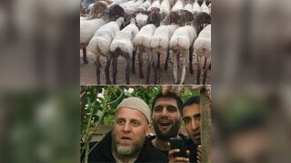 This is the Trojan Horse of our age: a gift of “diversity” and “compassion”