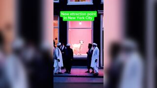 Mamdani vowed to legalize brothel, never said who or what was going to be prostituted