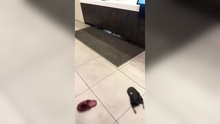 Taco Bell employees face off against costumers