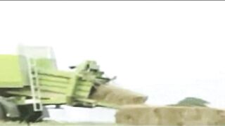 crazyman bails out after haymaker