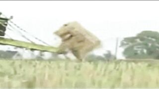 crazyman bails out after haymaker