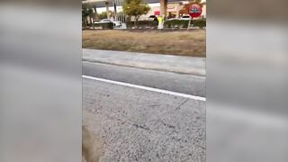 Illegal Immigrant Drunk Driver Passes Out at Wheel, Slams into Elderly Woman