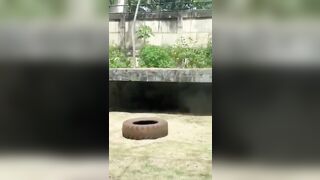 While in Brazil This 19 Year Old Man was mauled to death by a Lion after trespassing in its enclosure.