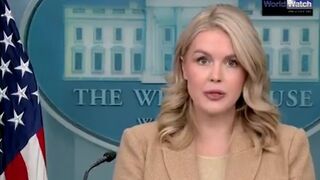 BOOM! Karoline Leavitt just DROPPED THE HAMMER on the open-borders scam