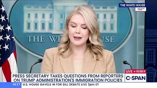 BOOM! Karoline Leavitt just DROPPED THE HAMMER on the open-borders scam