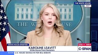 BOOM! Karoline Leavitt just DROPPED THE HAMMER on the open-borders scam