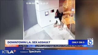 Woman trying to walk her dog in downtown Los Angeles is sexually assaulted and beaten