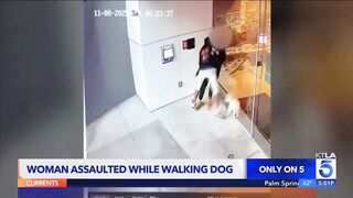 Woman trying to walk her dog in downtown Los Angeles is sexually assaulted and beaten