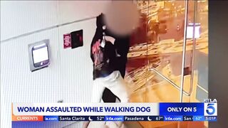Woman trying to walk her dog in downtown Los Angeles is sexually assaulted and beaten