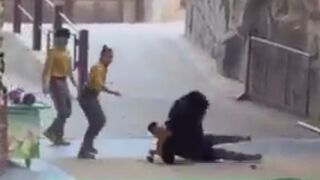 Black bear attacks a trainer during a show at the Safari Park