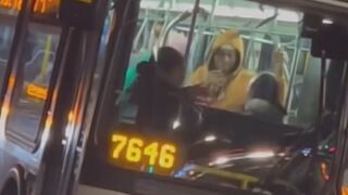 Chicago Bus Driver and Passenger Involved in Heated Confrontation